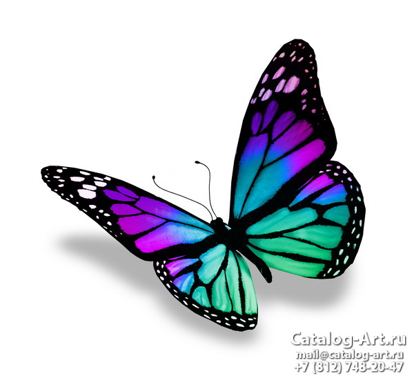  Butterflies 126